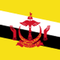 Brunei Darussalam's eSIM